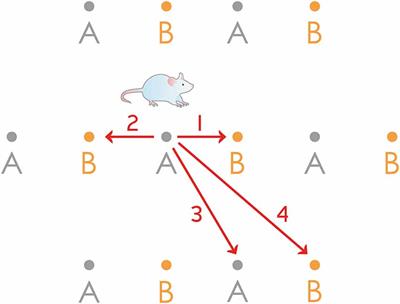Episodic Memories: How do the Hippocampus and the Entorhinal Ring Attractors Cooperate to Create Them?